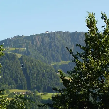 Проживание в семье Bergfrieden *